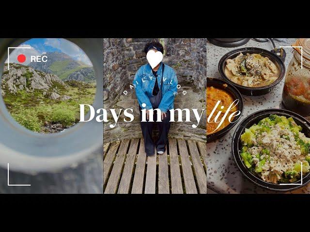 Slightly less ordinary days in my life ️| Living alone in Wales | North Wales minibus tour ️