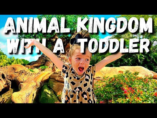 Best Things to do with a Toddler at Animal Kingdom