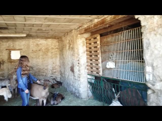 Mary J à la Ferme -Fromagerie Magnaldi de La Cadière d'azur