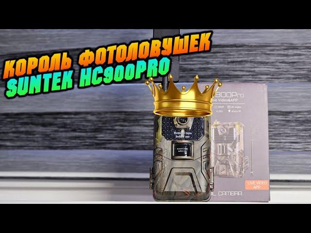 Обзор обновлённой HC900PRO топ фотоловушки от SUNTEK