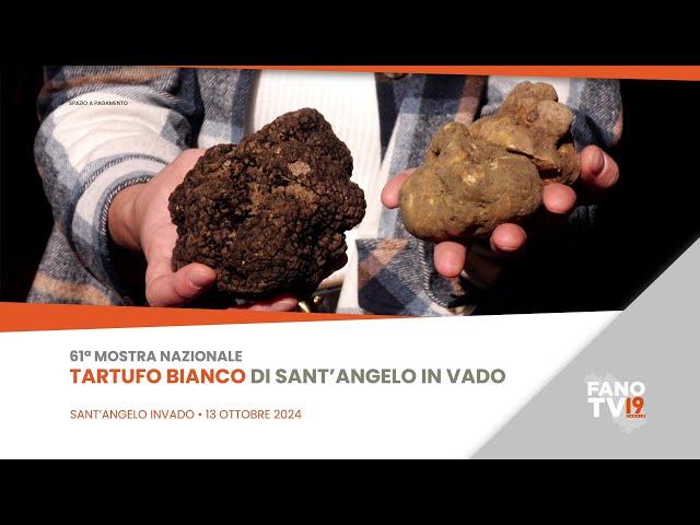 61ª mostra nazionale tartufo bianco di Sant'Angelo in Vado