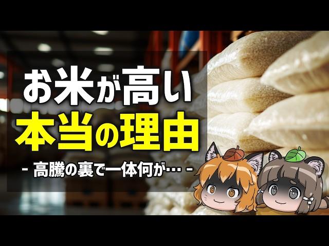 【黒幕】お米が高い原因はまさかの…JAが解体されたら価格はどうなる？