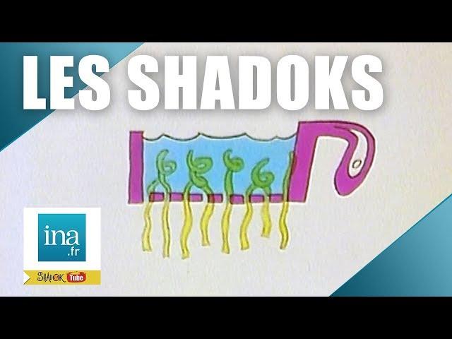 La passoire des Shadoks | Archive INA