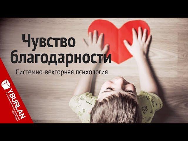 Чувство благодарности. Системно-векторная психология. Юрий Бурлан