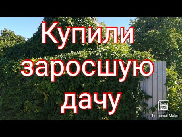 Купили заросшую дачу / дачная жизнь / природное земледелие / дача 2020