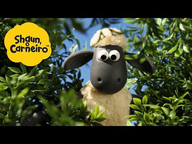 Shaun, o Carneiro [Shaun the Sheep] O que está acontecendo? Hora Especial| Cartoons Para Crianças