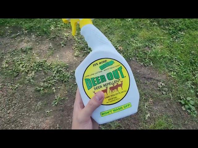 Deer Out 40oz Ready to Use Deer Repellent Review