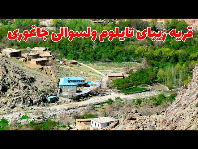 قریه زیبای تایلوم ولسوالی جاغوری | Tailom Village Jaghori