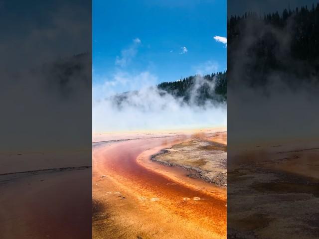 Amazing Yellowstone National Park 🫶 #shorts #nature #beautiful #geyser