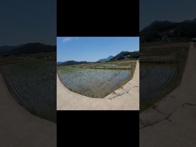 [최부자의 전국 임장기][발품] 경상북도 경주시 조양동 토지, 진입로 #shorts