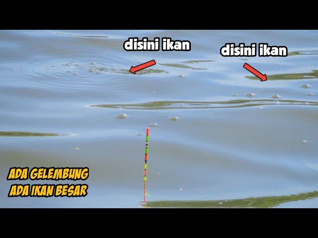 KEMANA PARA PEMANCING ⁉️ MANCING IKAN NILA DAPAT BANYAK SAMPAI CAPEK KOK MALAH SEPI PEMANCING