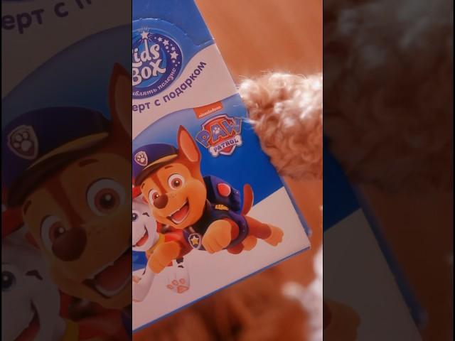 Все хотят попробовать Kids Box #распаковка #pawpatrol #конфитрейд