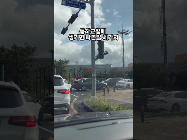 국제학교 등하교길 #제주국제학교