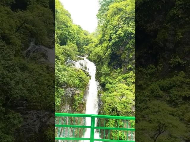 Best road view  #mountain #mountainview #rideview #mountainride