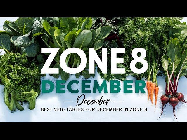 Best Vegetables to Grow in Zone 8 This December