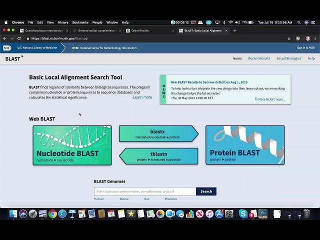 Analyzing Gene Sequence Results with BLAST