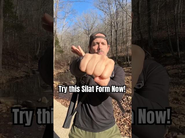 Try this Silat Jurus (Form) Now! #martialarts #pencaksilat #kungfu