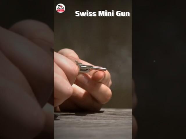 The world's smallest gun  #training #smallest #worlds #guntrick #asmr #history #callofduty