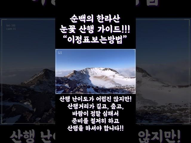 겨울 왕국 한라산 설산 눈꽃 산행 가이드 “이정표 보는 방법”!! #shorts #제주도 #여행 #한라산 #눈꽃 #등산 #추천 #코스