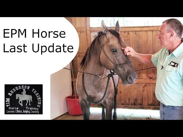 Final update on horse with EPM