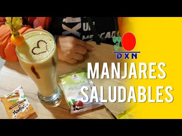 Nos visitan desde México para probar los manjares Saludables a base de Ganoderma y Spirulina