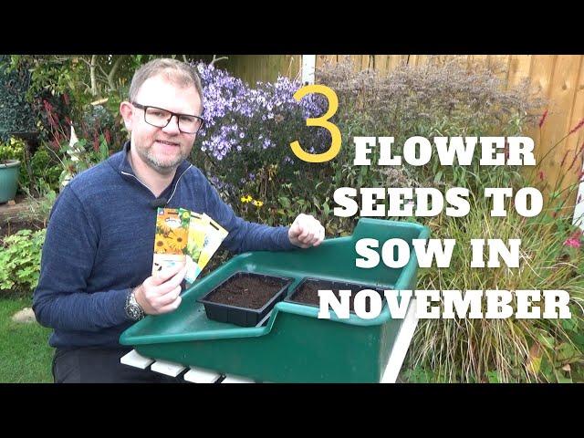 3 Flower Seeds to Sow in November | What to Grow in November | Autumn Sowing | Plant Propagation