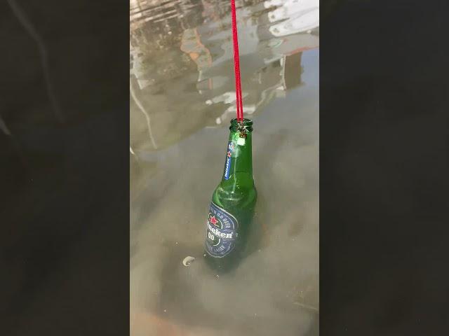Just Pure Genius!