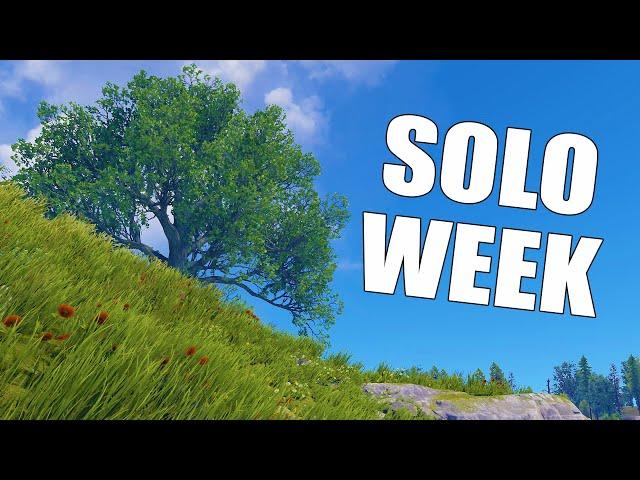 i played solo rust for a week and this is what happened