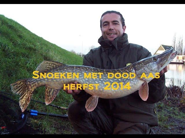 Snoekvissen met dood aas in de herfst 2014 ook nachtvissen - Pike fishing with dead bait #21