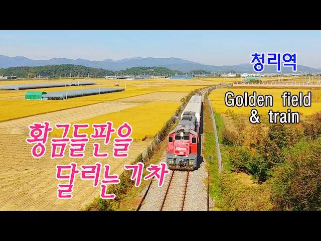 청리역 황금 들판을 달리는 기차 / 경북선 간이역 / Golden field drive train / 손현주_간이역 / 청리역 열차시간표