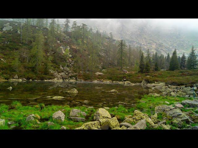 Lago delle Bose 15 05 2022 4K