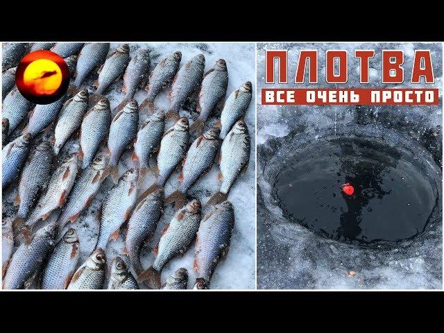 Roach fishing in winter / Roach Biting on the float / Winter fishing 2019