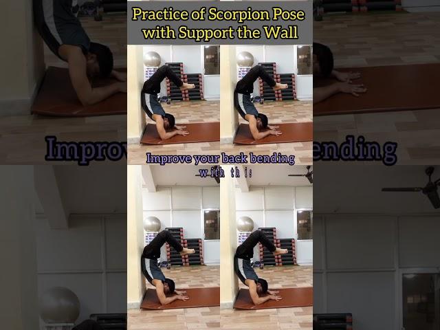 practice of scorpion pose with wall to improve your back bending #viral #scorpionpose  #shorts