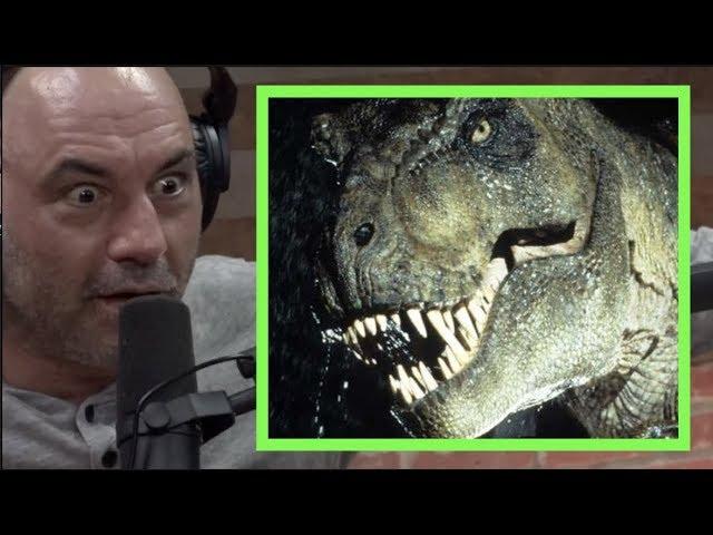 Joe Rogan | The Mysteries of the T-REX