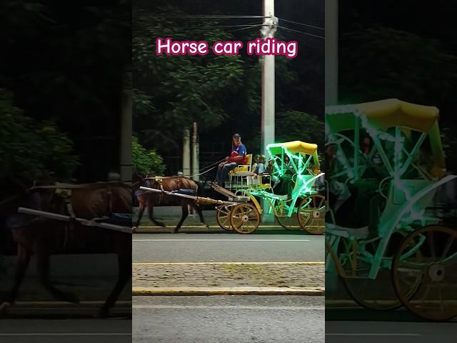 The History of Driving and the Role Played by Driving Horses! 