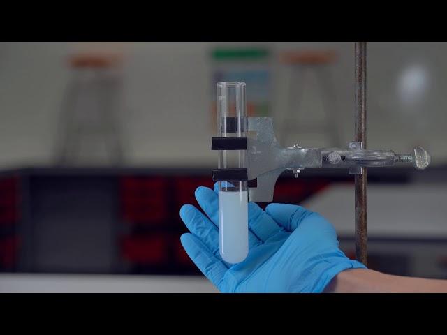 Reaction Rate - Hydrochloric acid + Sodium Thiosulfate (Concentration)