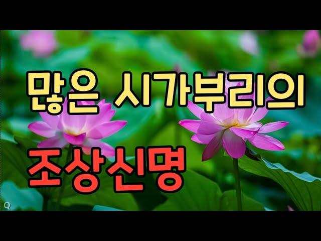 #여러번 결혼한 시가부리의 조상신, 어떻게 받나에 대한 영상입니다,