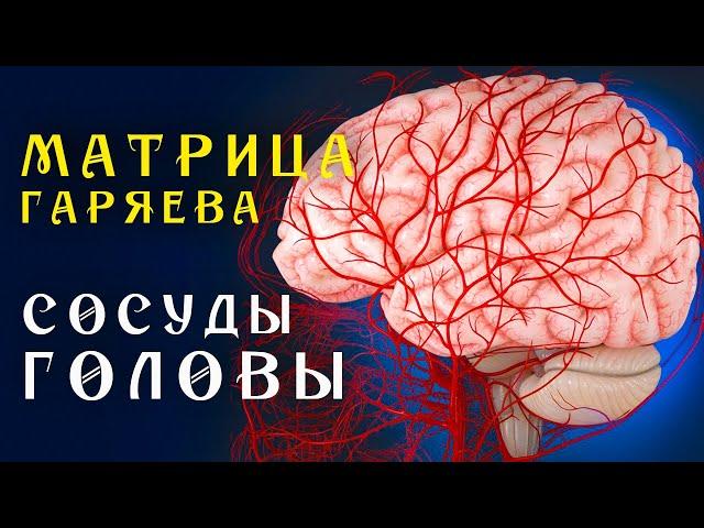 Матрица Гаряева Полная Очистка Сосудов Головы ️ Квантовое Исцеление Сосудов Звуком