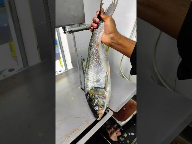 jast Amazing River Big Silver Fish Cutting Skills in Bangladesh #silver Fish Cutting Expert Cuttermn
