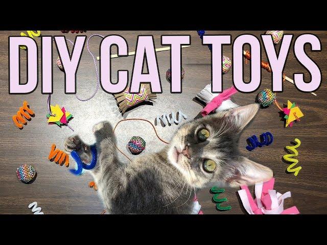 5 Easy Cat Toys Kids Can Make at Home!