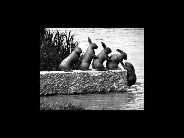 Mac Vaughn - Chasing Rabbits (Maksim Dark Remix)