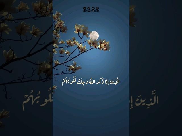 الذين إذا ذكر الله وجلت قلوبهم | تلاوات هادئة #قرآن