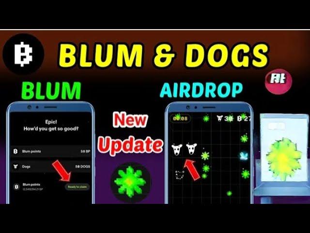 Blum & Dogs Listing Date Withdrawal Blum Airdrop, Dogs Airdrops | | Blum dog...: