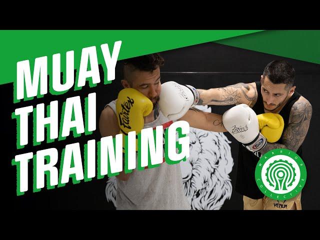 Muay Thai Training - 3 Stripping the Guard Drills with Amir Ghassemi