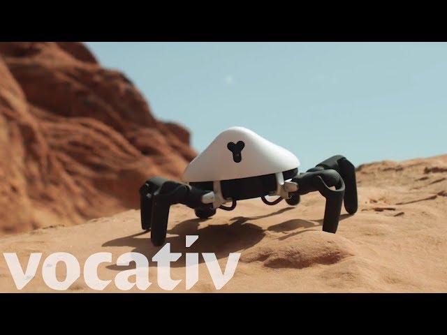 The HEXA Spider Robot Can Walk, Learn, And Give You Nightmares