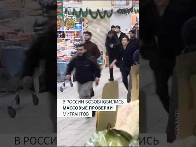 В России возобновились массовые проверки мигрантов