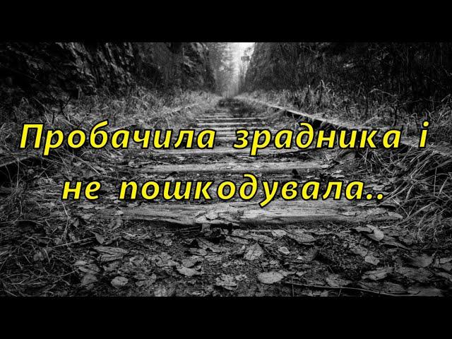 Пробачила зрадника і не пошкодувала..  Життєві історії