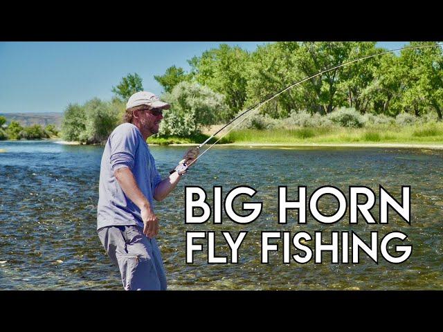 Epic Big Horn Dry & Nymph Fishing | Montana