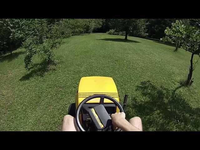 Regular Car Reviews: Yard Man