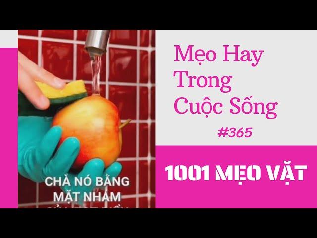 1001 Mẹo Vặt - Mẹo Hay Trong Cuộc Sống  (P365) #Shorts #1001meovat